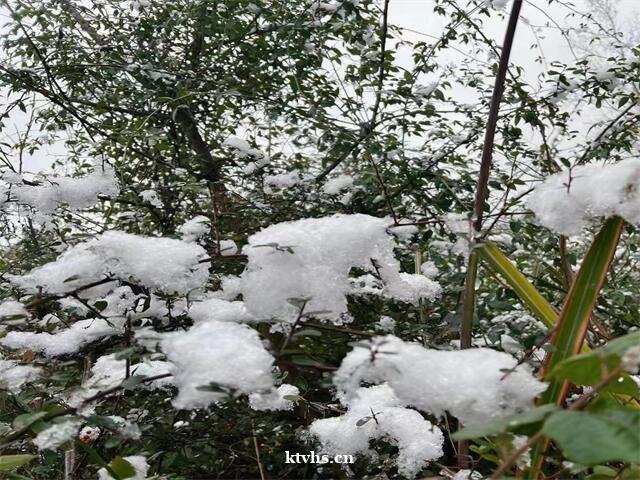 成都夜场教你职场求职遇到挫折如何正确对待