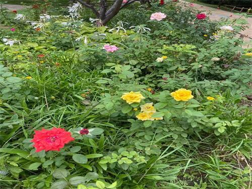 天津KTV招聘-高端夜场兼职岗位等你来-灵活工作-高收益回报 天津KTV招聘-高端夜场兼职岗位等你来-灵活工作-高收益回报